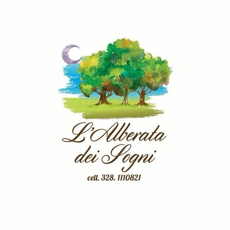 L'Alberata Dei Sogni Bed and Breakfast Φροζινόνε Εξωτερικό φωτογραφία